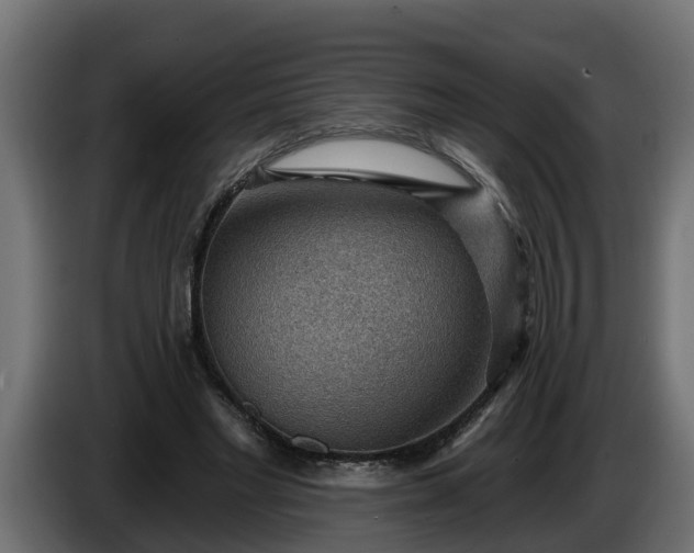 X0000086320493200704131656