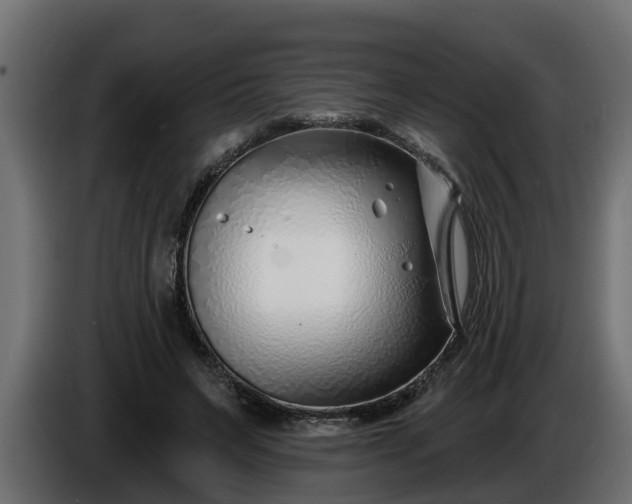 X0000086320495200704131656