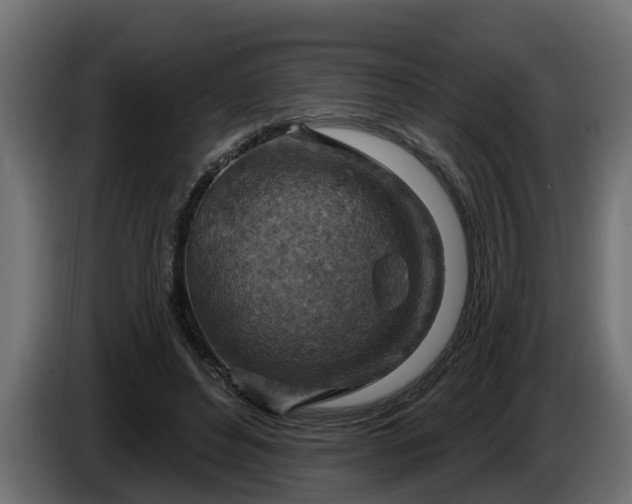 X0000086320496200704131656