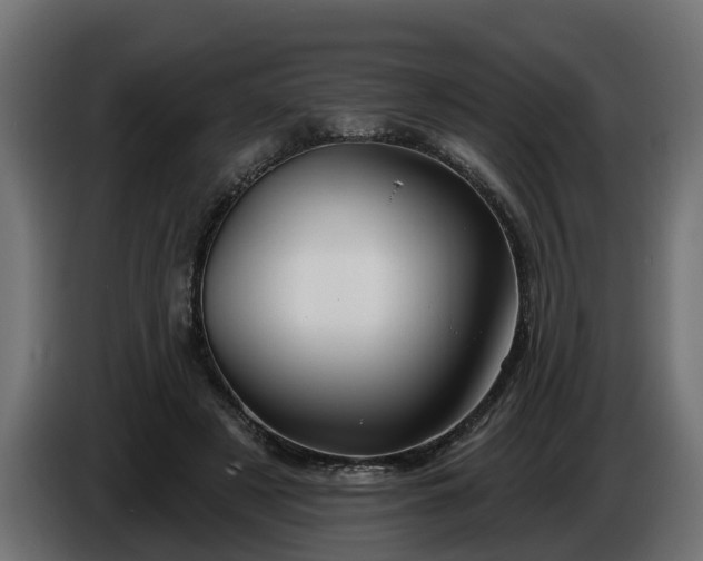 X0000086320497200704131656