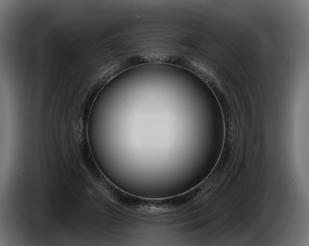 X0000086320498200704131656