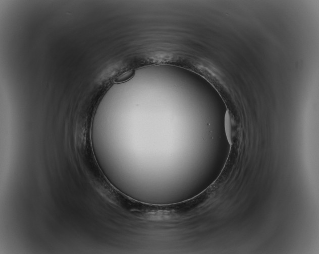 X0000086320499200704131656