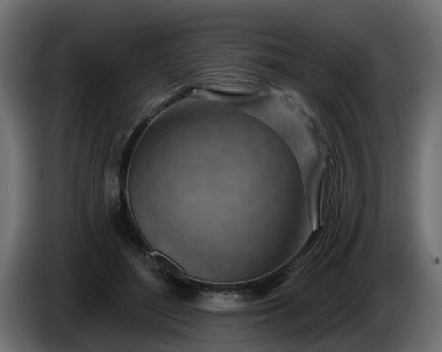 X0000086320500200704131656