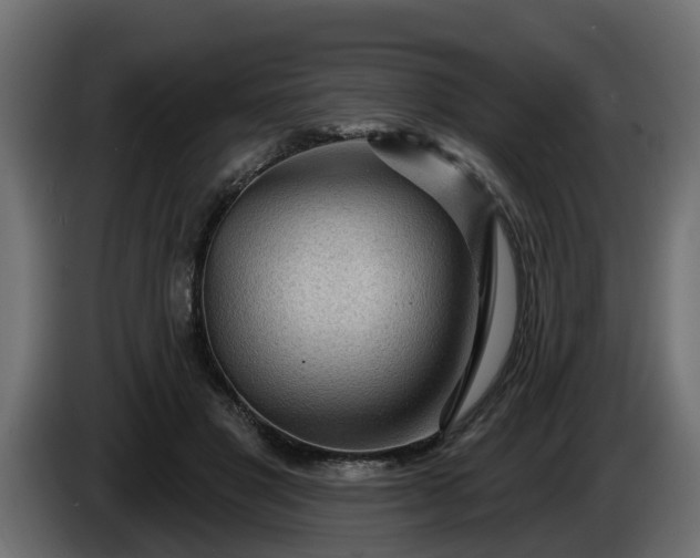 X0000086320501200704131656