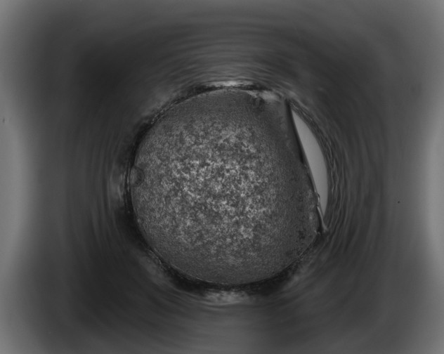 X0000086320503200704131656