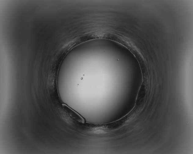 X0000086320505200704131656