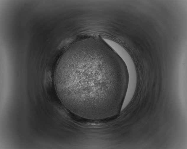 X0000086320506200704131656