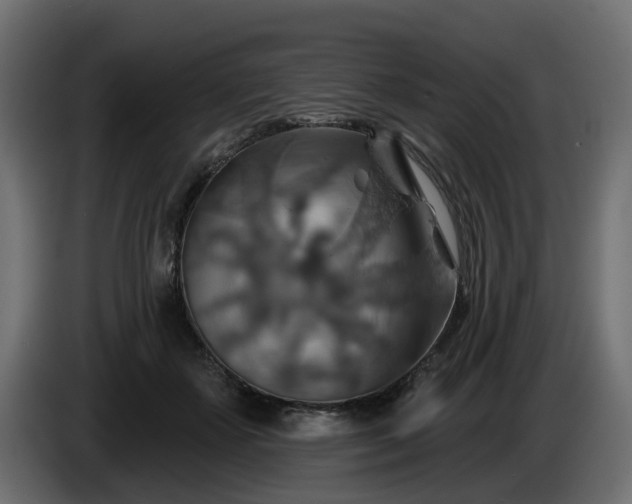 X0000086320507200704131656