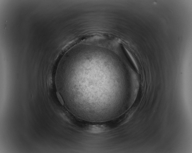 X0000086320508200704131656