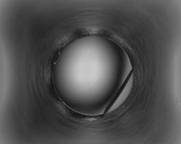 X0000086320509200704131656