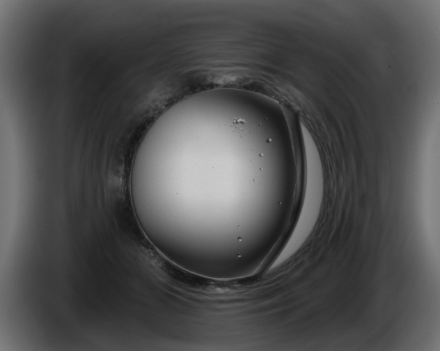 X0000086320510200704131656