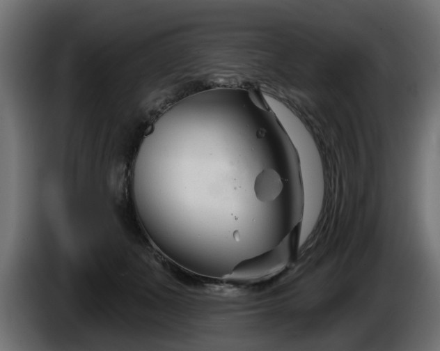 X0000086320511200704131656