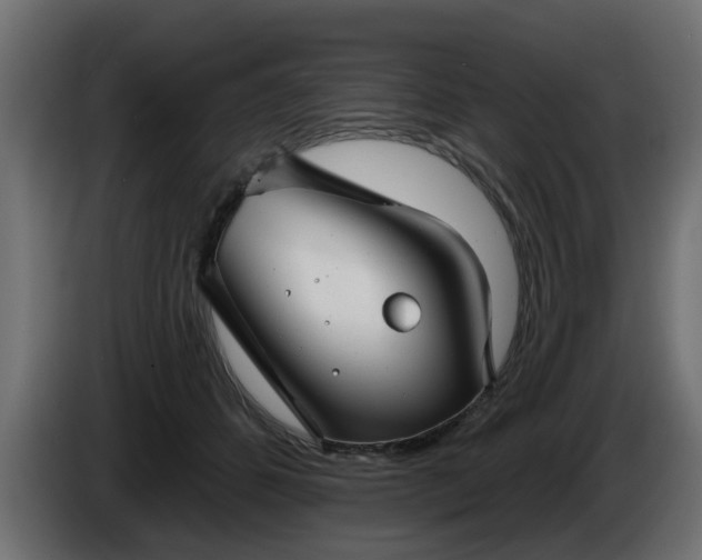 X0000086320512200704131656