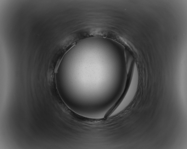 X0000086320513200704131656