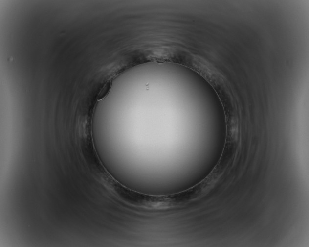 X0000086320514200704131656