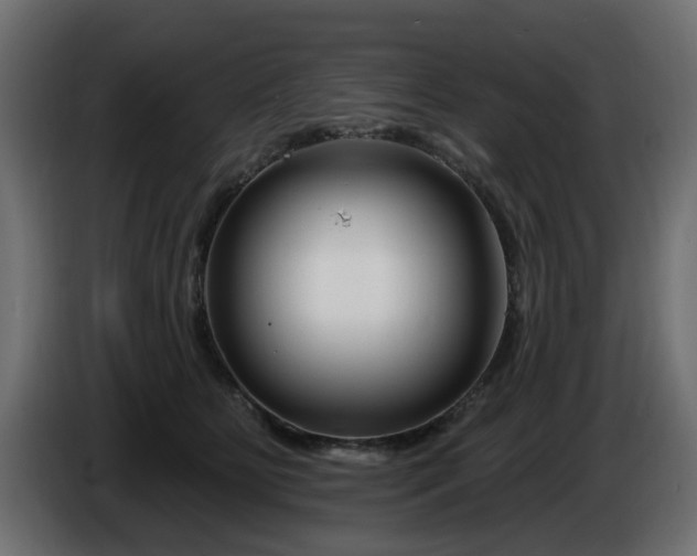 X0000086320515200704131656