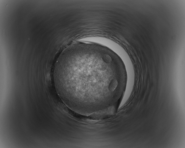 X0000086320516200704131656