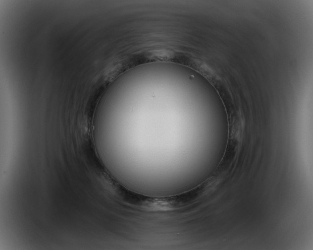 X0000086320518200704131656