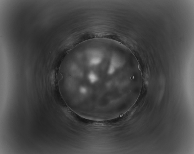 X0000086320519200704131656