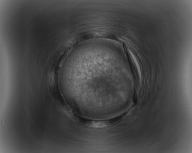 X0000086320520200704131656