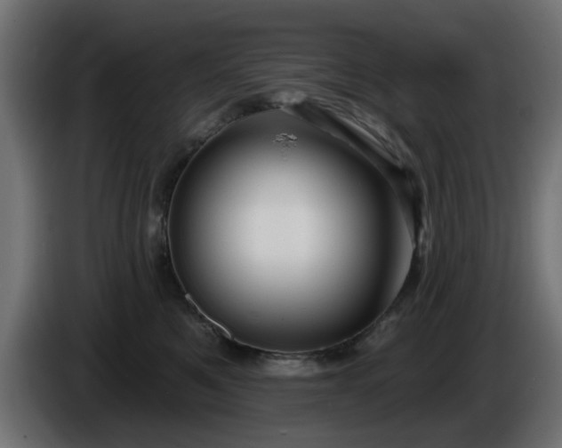 X0000086320521200704131656