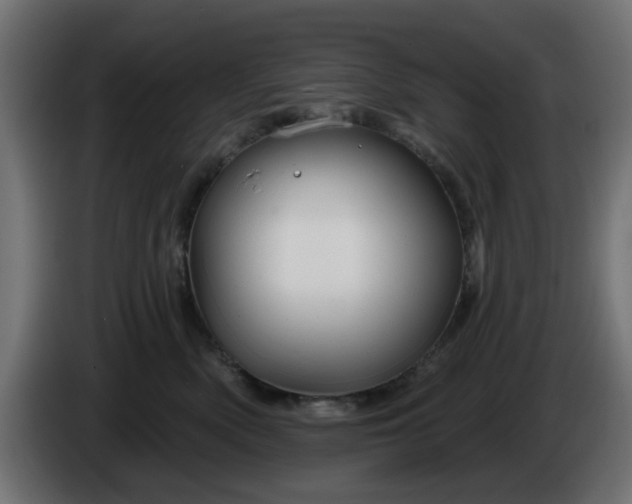 X0000086320522200704131656