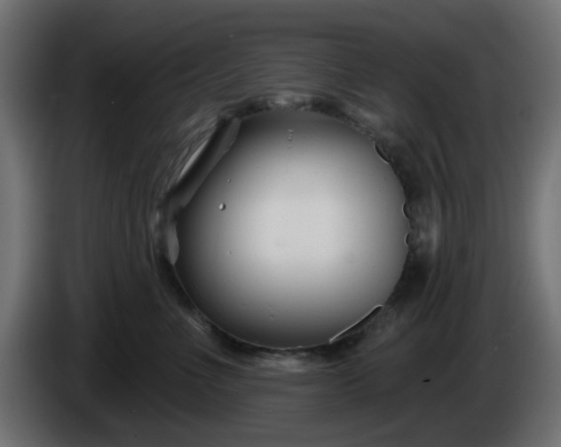 X0000086320523200704131656