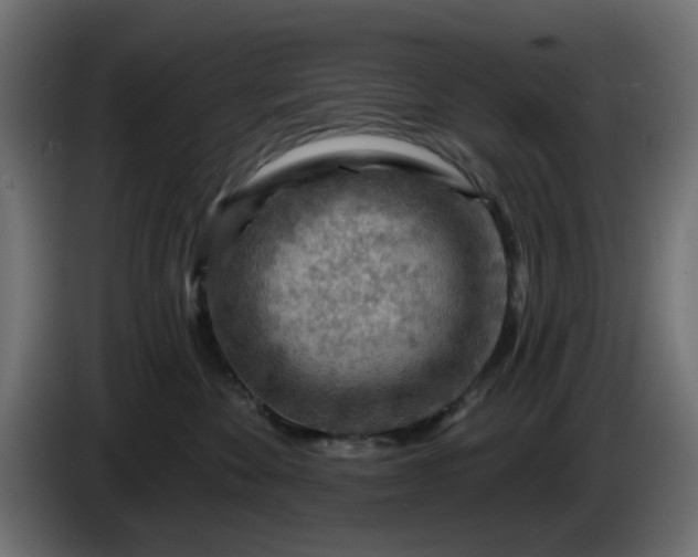 X0000086320524200704131656