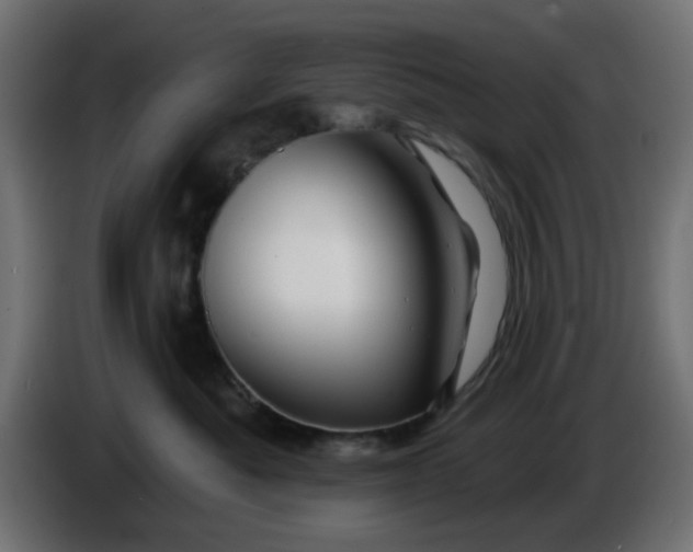 X0000086320525200704131656