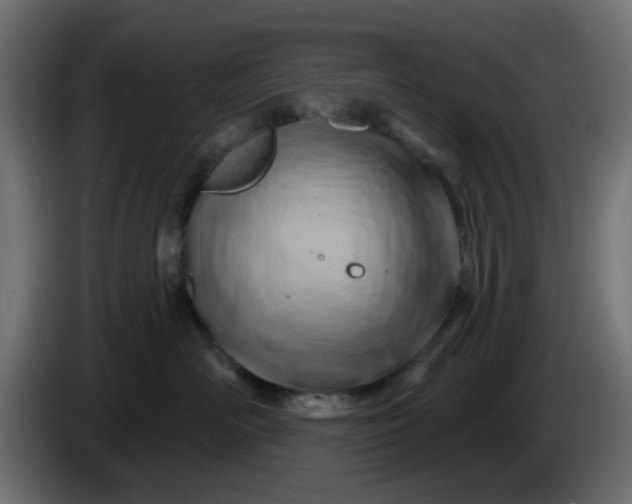 X0000086320526200704131656