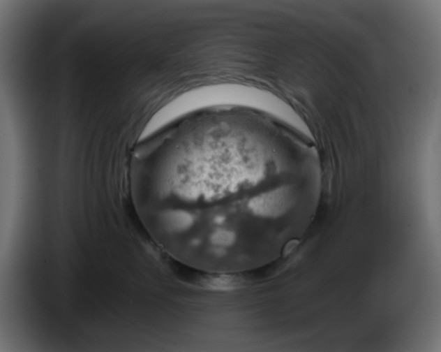 X0000086320527200704131656