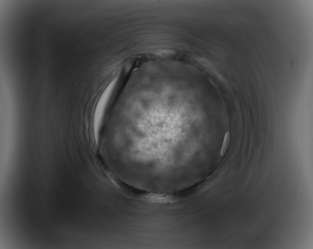 X0000086320528200704131656