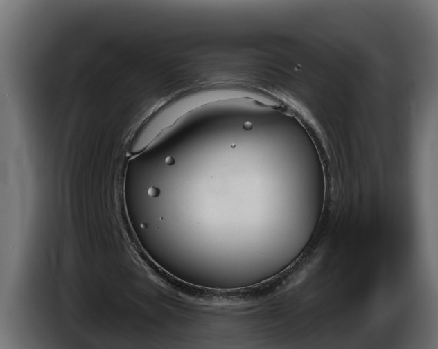 X0000086320529200704131655