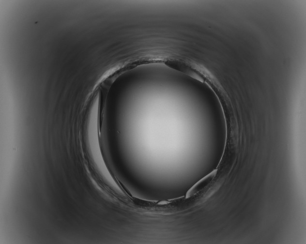 X0000086320530200704131655