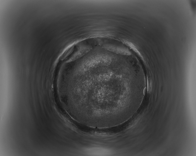 X0000086320531200704131655