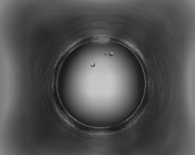 X0000086320533200704131655