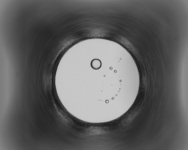 X0000086320534200704131655