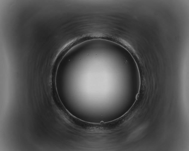 X0000086320535200704131655