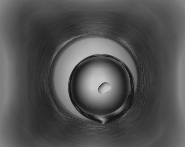 X0000086320536200704131655