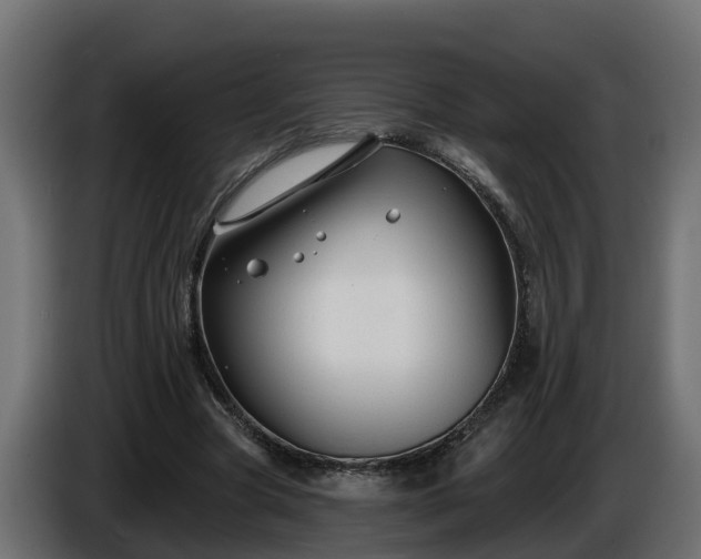 X0000086320537200704131655