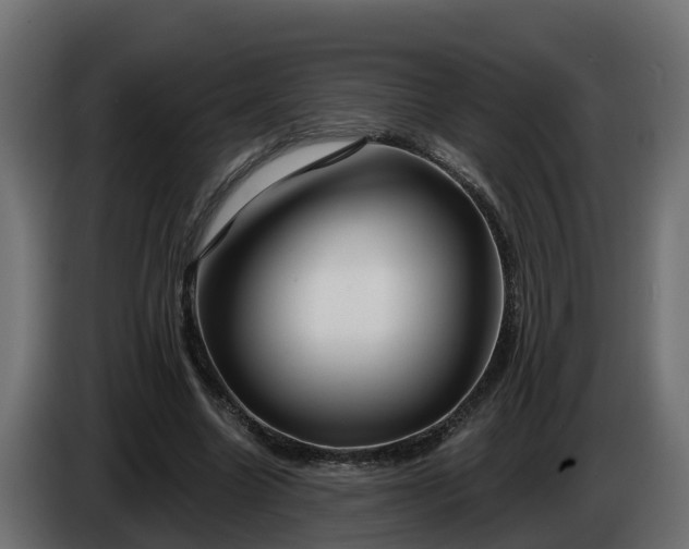 X0000086320538200704131655