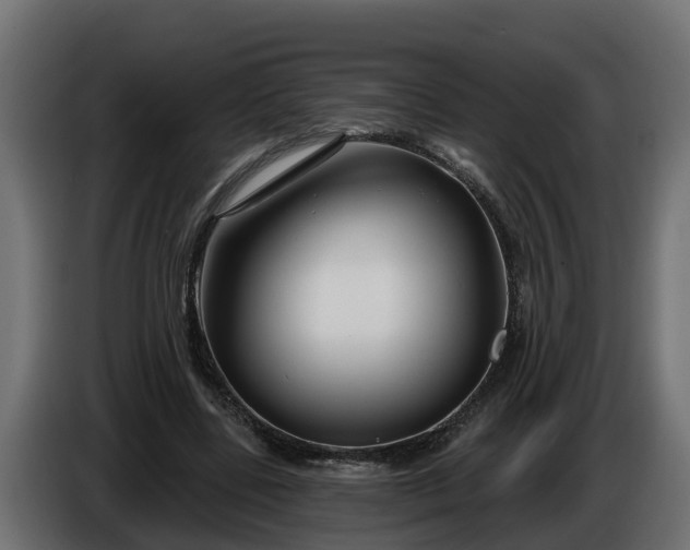 X0000086320539200704131655