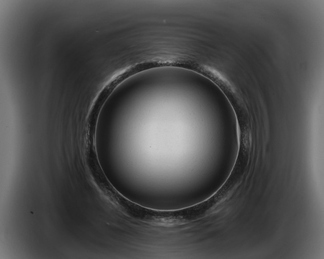 X0000086320540200704131655