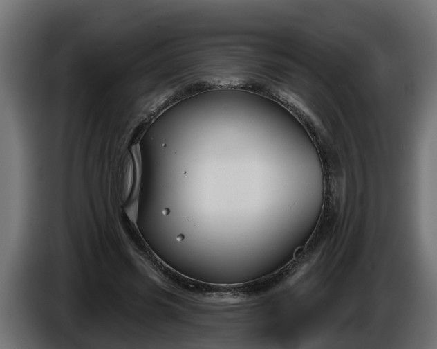 X0000086320541200704131655