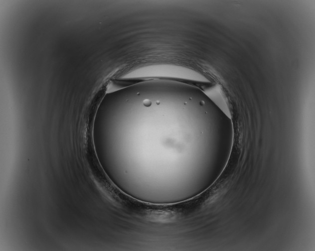 X0000086320542200704131655