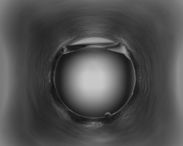 X0000086320543200704131655