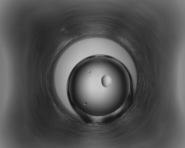 X0000086320544200704131655