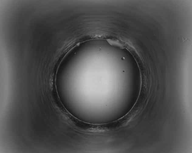 X0000086320545200704131655