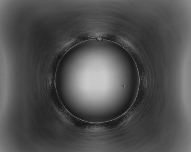 X0000086320546200704131655