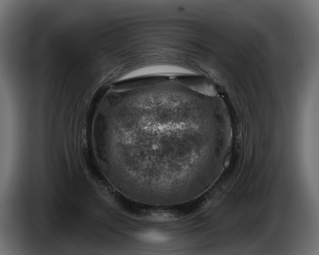 X0000086320547200704131655